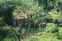 Aravalli Biodiversity Park, Conservatory of Herbal Plants