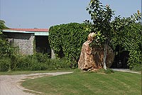 Yamuna Biodiversity Park, Delhi, View of NIC