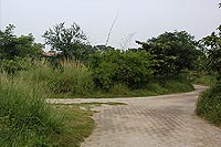 Yamuna Biodiversity Park, Delhi, Gate