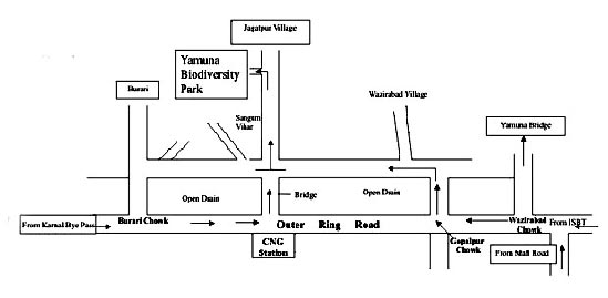 Yamuna Biodiversity Park, Delhi